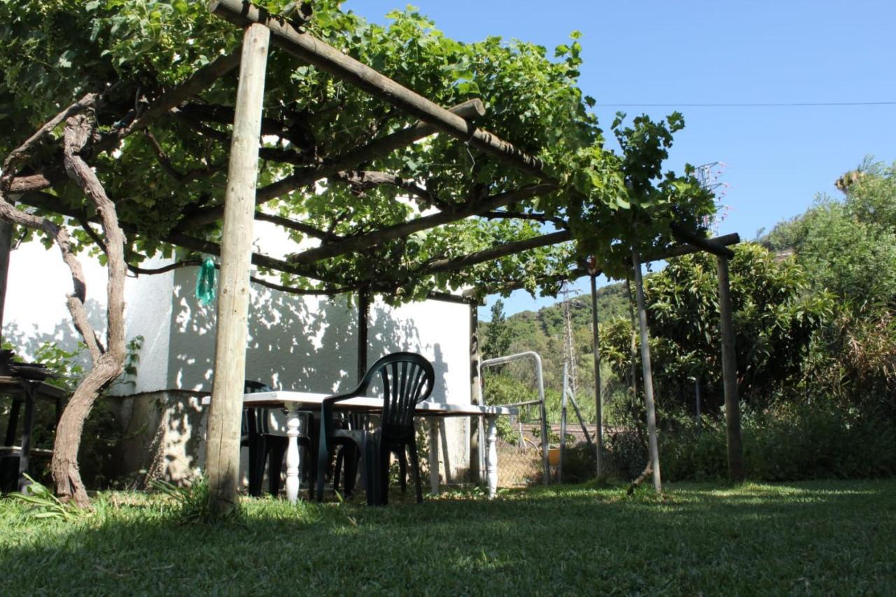 Casa La Maceta Villa Кадис Екстериор снимка